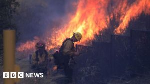 What role is it playing in the California fires