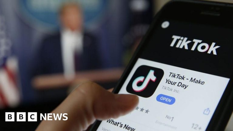 TikTok ban likely to spread to US allies