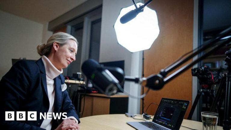 Musk interviews German far-right frontwoman Alice Weidel