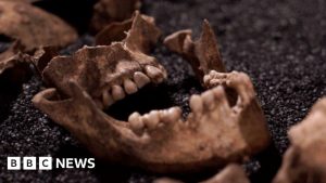 New bone test could rewrite British history, say scientists