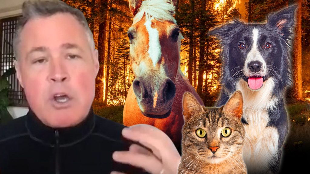 Jeff Corwin Calls Wildfires ‘Catastrophe’ for Mountain Lions, Condors, Bears