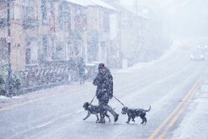 Weather latest: UK braces for temperatures to plummet to -20C as snow warning for London