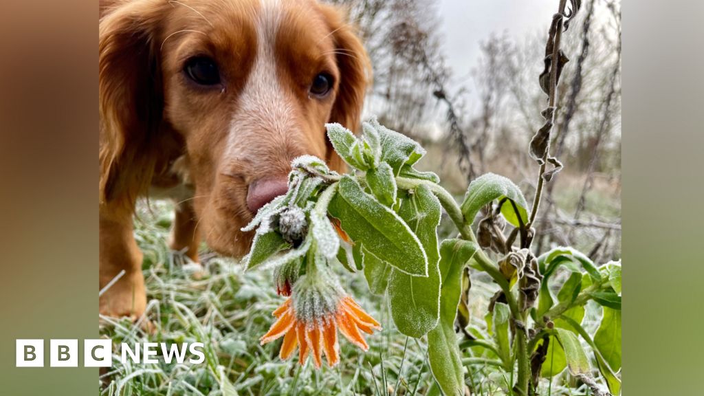 Your striking pictures of snow and frost across UK