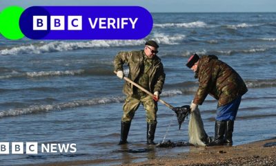 Russia suffering 'environmental catastrophe' after oil spill in Kerch Strait