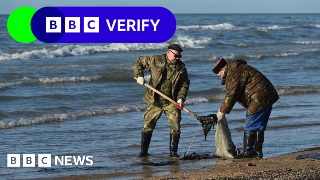 Russia suffering 'environmental catastrophe' after oil spill in Kerch Strait