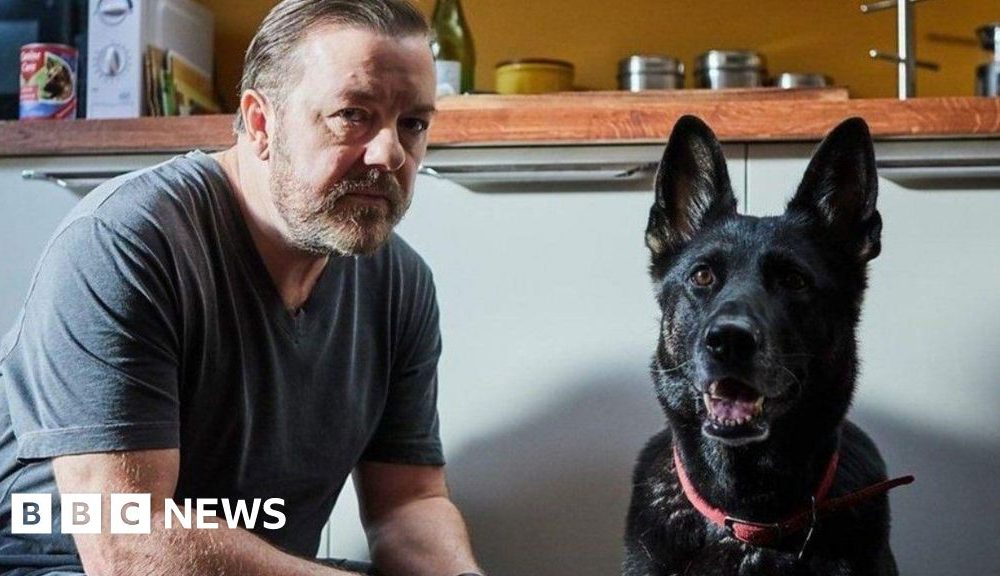 Ricky Gervais tribute after Herefordshire-born dog from After Life dies