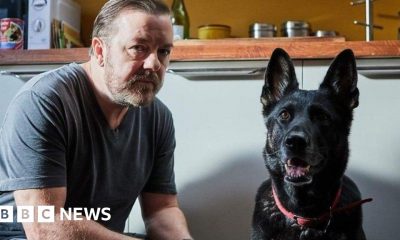 Ricky Gervais tribute after Herefordshire-born dog from After Life dies