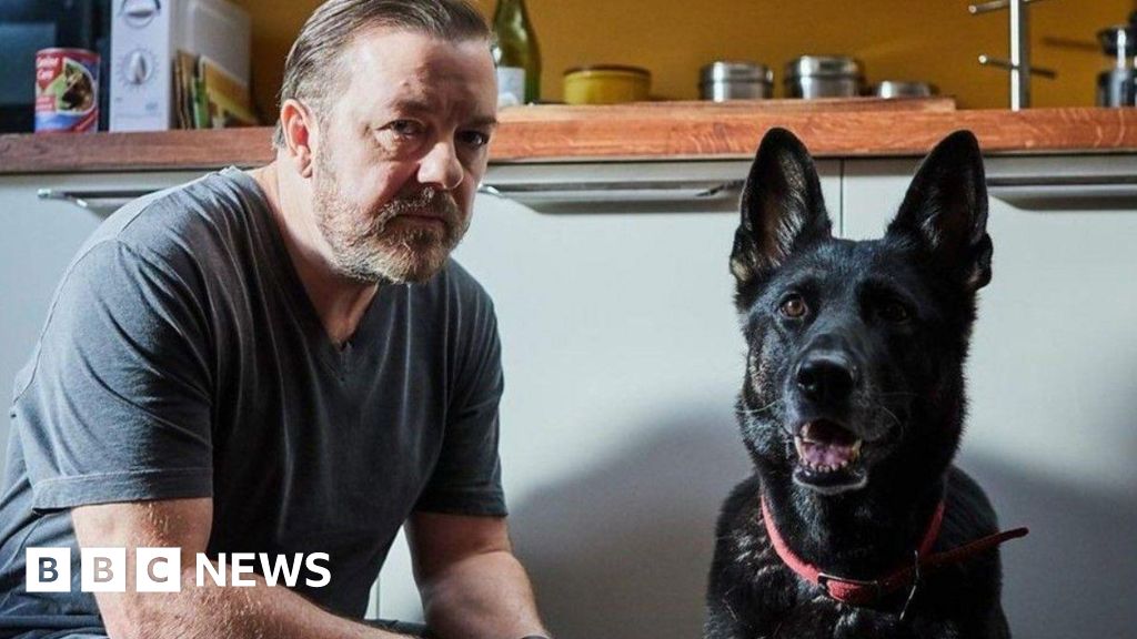 Ricky Gervais tribute after Herefordshire-born dog from After Life dies