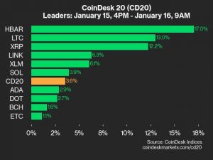 9am CoinDesk 20 Update for 2025-01-16: leaders chart