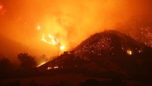 A fire burns in Los Angeles.