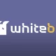 WhiteBIT crypto exchange logo and features overview