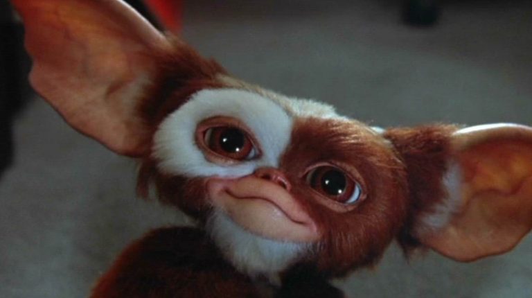 Warner Bros. Reportedly Working On New Gremlins & Goonies Movies