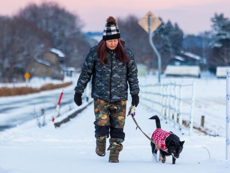 Snow mapped: Where freezing weather and flooding will hit UK this week