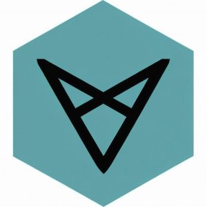 What Is Vectorspace AI VXV Crypto