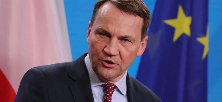 Trump 'helped' persuade Hungary to unblock EU Russia sanctions, Polish FM claims