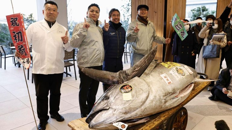 Motorbike-sized tuna sells for £1m at Tokyo auction