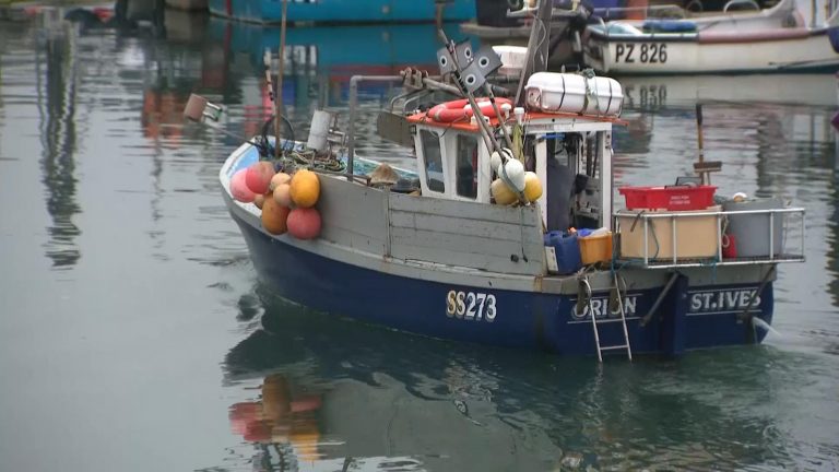 Cornwall fishermen fear for livelihoods as offshore wind farms pose ‘greatest change’ the industry has faced | UK News