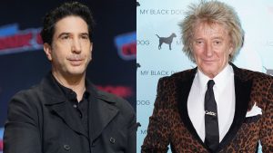 David Schwimmer says he once served divorce papers on Sir Rod Stewart | Ents & Arts News