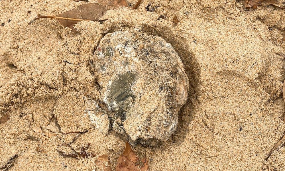 A large piece of debris removed from one of the Sydney beaches. Pic: Northern Beaches Council