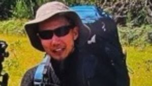 Hiker found two weeks after going missing in New South Wales mountains | World News