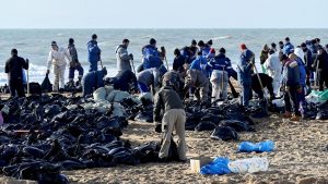 More than 30 dolphins wash up dead on beach after 'ecological disaster'