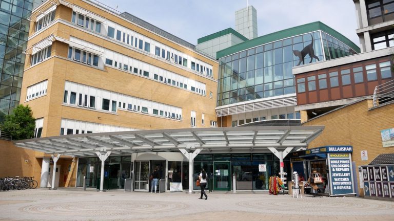 North London hospital advertises for corridor nurse amid NHS winter crisis | UK News