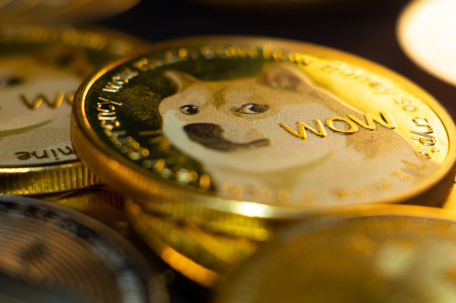 DOGE, XRP, and HBAR Potential in 2025