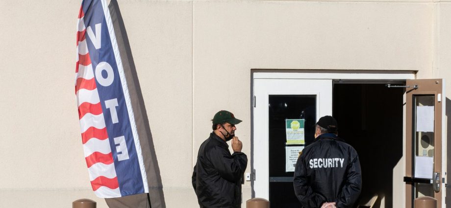 Top US Election Security Watchdog Forced to Stop Election Security Work