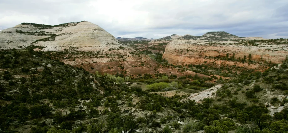 The West deserves a say in public lands
