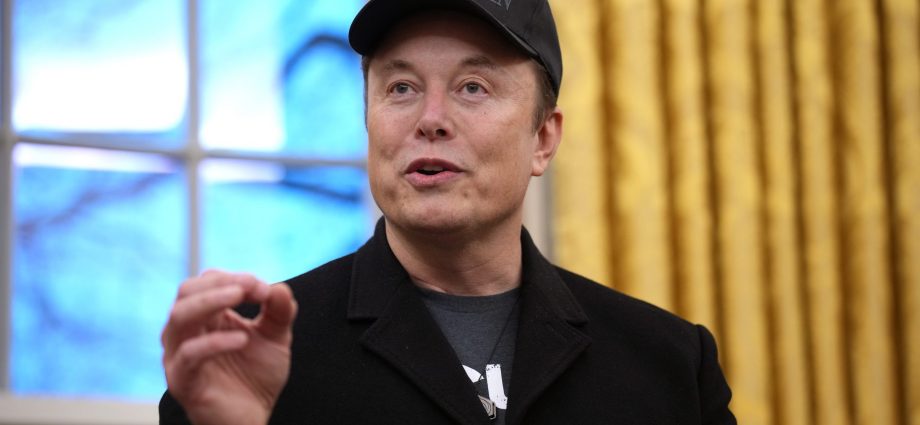 Tesla and SpaceX CEO Elon Musk delivers remarks as he joins U.S. President Donald Trump during an executive order signing in the Oval Office at the White House on February 11, 2025 in Washington, DC.