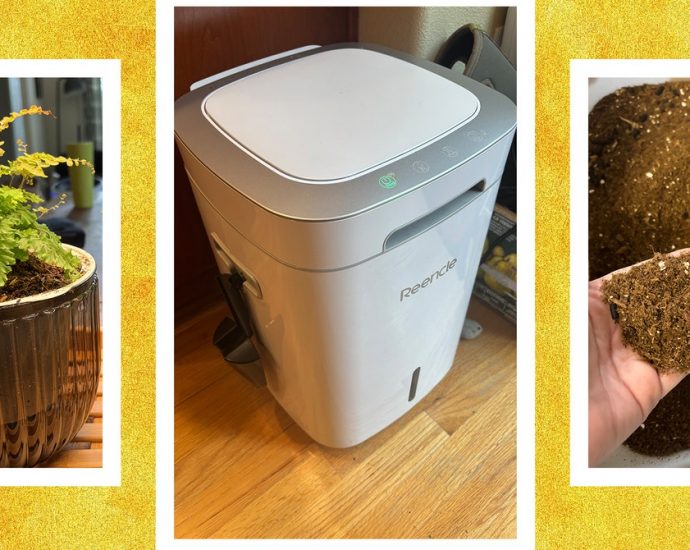 Reencle Prime Review: A Sustainable Solution for Making Compost
