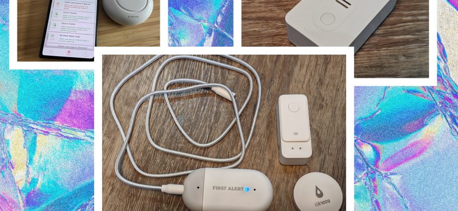 8 Best Water Leak Detectors (2025), Tested and Reviewed
