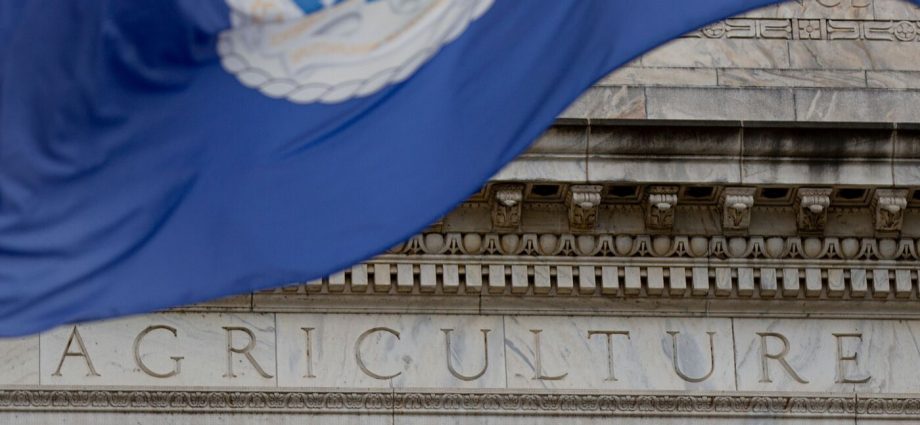 Layoffs accelerate at federal agencies with more cuts coming : NPR
