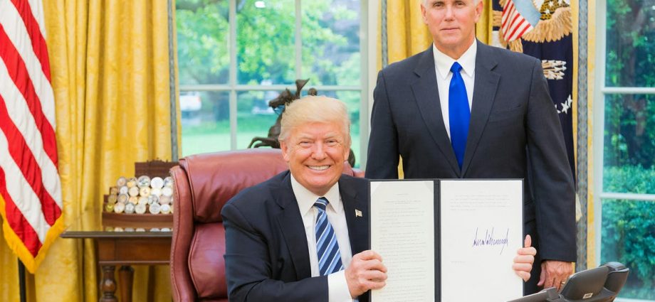 Tariffs, Steel, and Trump’s Big Economic Play: Did It Actually Work? | by TheLuWizz | Coinmonks | Mar, 2025