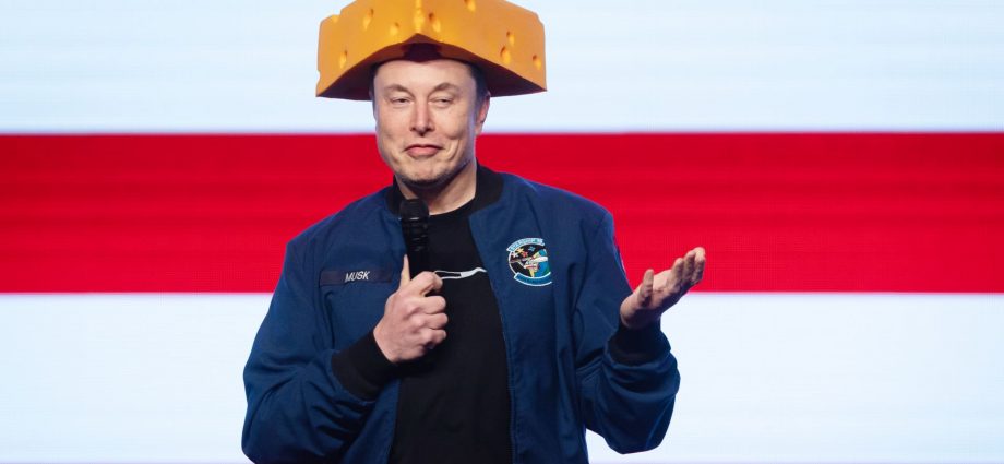 Elon Musk says backlash against DOGE government cuts hurts Tesla stock