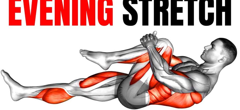 6 Stretches You Should Do Each Evening (HOME & GYM)💪