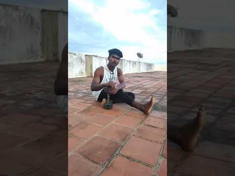 best Biceps workout with single Dumbbell 🔥| workout at home | gym status Tamil