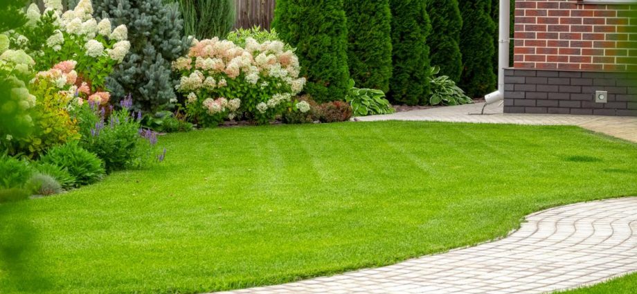 How tin foil can help your lawn grow thicker and healthier