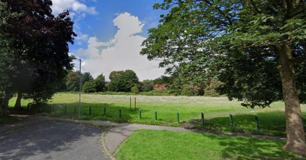 Plan for 43 new 'affordable' homes in Great Lever approved