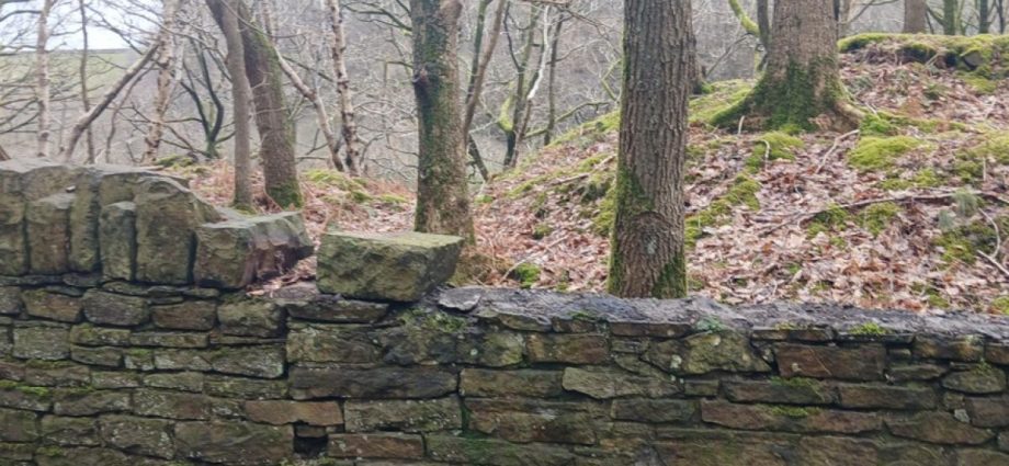 Large stones 'stolen' from important walls near Rivington