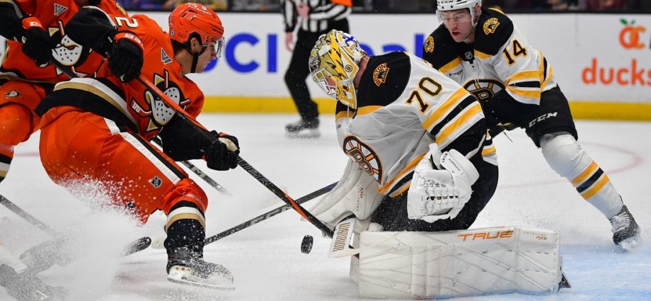 Leo Carlsson scores twice as Ducks take down Bruins