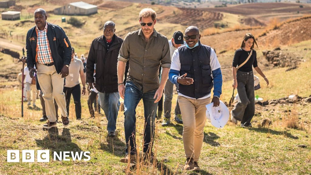 Why leaving his own charity will matter so much to Prince Harry