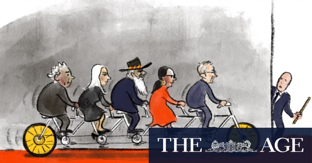 The latest illustrations from artist Cathy Wilcox