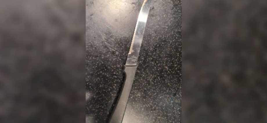 Jail for woman who pointed knife at diner's face and demanded money in Novena Square cafe