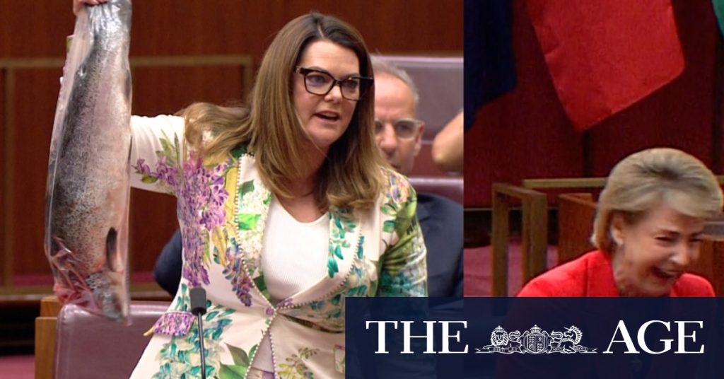 Senator Sarah Hansen-Young brandishes a dead Salmon in Parliament