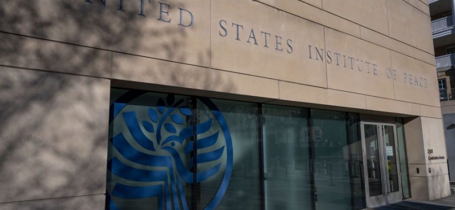 Trump fires nearly all staff at US peace institute, WP reports