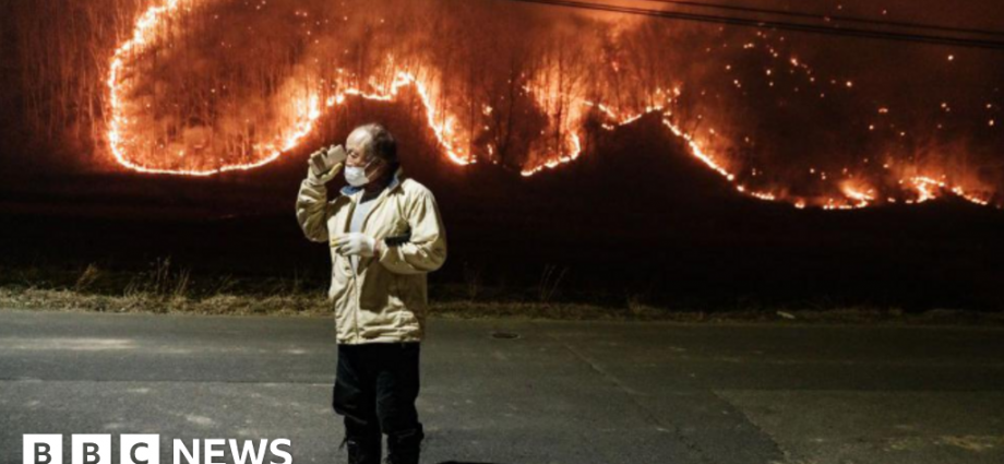 How strong wind, pine trees and dry land fuelled the blaze