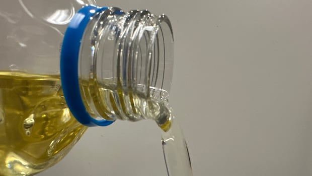 Social media suggests seed oils — like canola — are bad for you. More science is saying otherwise