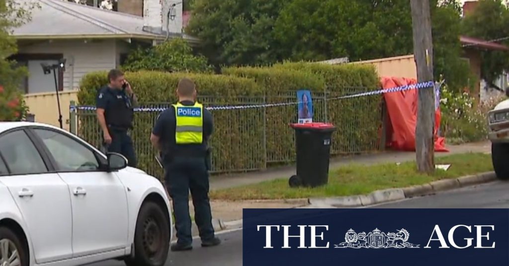 Man charged with murder after allegedly stabbing neighbour