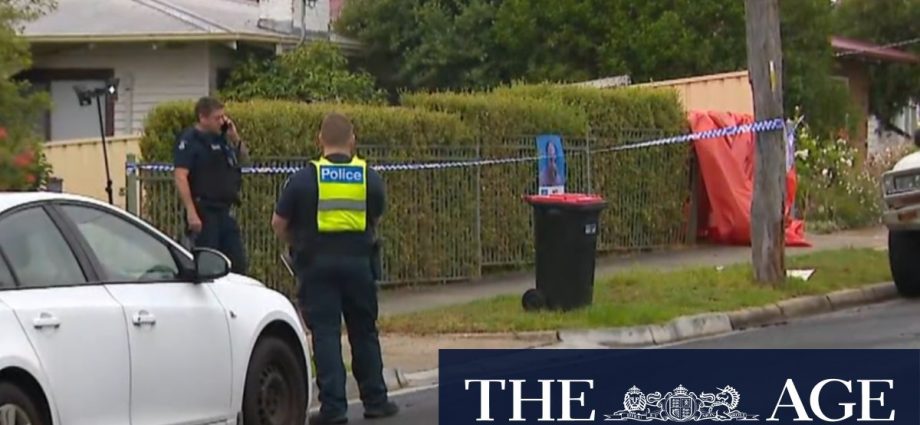 Man charged with murder after allegedly stabbing neighbour